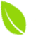 foglia