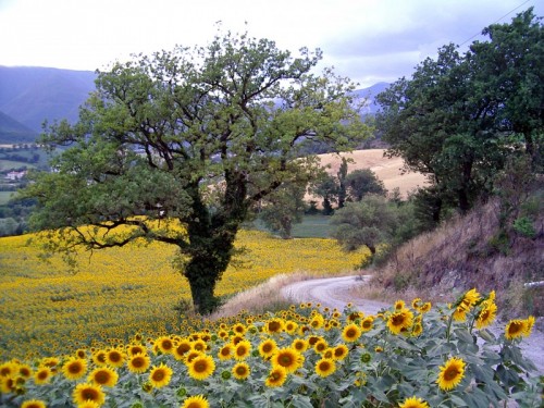 foto azienda